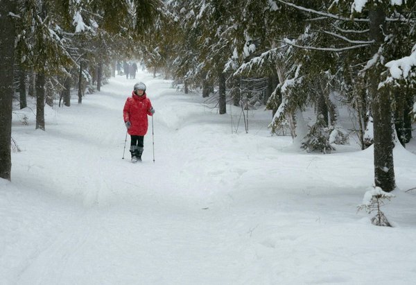Quels sont les bienfaits de la marche nordique pour les femmes et comment débuter?